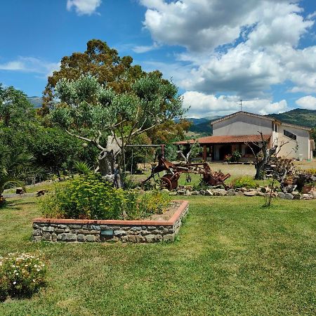 Azienda Agrituristica Verdevalle Cicerale Esterno foto